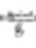 POL-PR-KI07 Valve guides (7/12.06x44mm), id: 8074 - 2/2