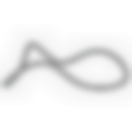 NMS1304 - Outer seal ring for screw and piston (3) - machine head (Serdi ref. S.1213), id: 10548 - 1/1