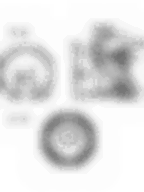 POL-KO-FI25NO Komory wstępnego spalania (35.60/30.25x4.60mm), id: 3055 - 2/2