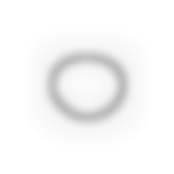 NMS1303 - Central Piston O-ring (4) - Machine Feet (Serdi ref. S.0417), id: 10547 - 1/1