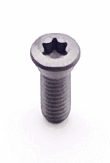 NWN-T8 - Śruba Torx T8 do mocowania końcówki z węglików spiekanych (zestaw 5 sztuk) (6/6x12mm), id: 10496 - 1/2